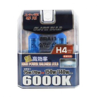 トラック用 H4 バルブ 24V スーパーブルーホワイト 6000K 明るい 高効率 ヘッドライト 大型車用 交換用 電球 ドレスアップ 2個セット BE-317