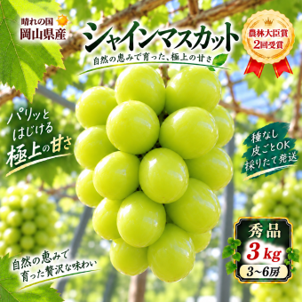 【予約】岡山県産 シャインマスカット 3kg 3～6房 贈答用秀品 国産 フルーツ