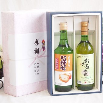 実りの秋の贈り物北海道特産 感謝の贈り物ボックス2本セット(札幌酒精さっぽろ じゃがいもAic25度(北海道) おたる醸造 デラウエアやや甘口(北海道)) 720ml×2本