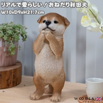 置物 woobia ウービア 日本犬 おねだり秋田犬 子犬 高さ21.7cm 和風 リアル 本物そっくり イギリス生まれ 職人手彩色 縁起物 戌年 玄関 インテリア 新築祝い 引っ越し祝い 開店祝い 出産祝い 誕生日 お祝い ギフト プレゼント 犬好き 秋田犬好き