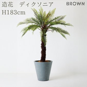 観葉植物 造花 ディクソニア BROWN 全高約183cm 大型 フェイクグリーン 高級 本物そっくり リアル おしゃれ 珍しい インテリア 人工観葉植物 アーティフィシャルグリーン オフィス 店舗 ホテル 開店祝い 室内 リビング 玄関 風水 木性シダ