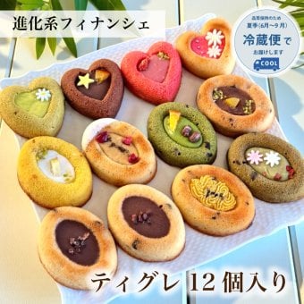 フィナンシェ [ ティグレ 12個 詰め合わせ ]  焼き菓子 お返し 菓子折り プレゼント お礼 誕生日 おしゃれ かわいい 高級 スイーツ 洋菓子 手土産 贈り物 出産 結婚 内祝い 個包装 お祝い
