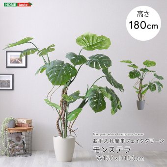 お手入れ簡単 フェイクグリーン モンステラ Lサイズ(180cm)