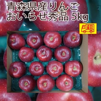 青森県産　りんご　おいらせ　贈答にも　優品　14～18玉　５ｋｇ　送料無料