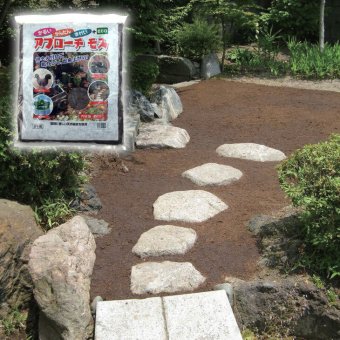 雑草対策に敷くだけ簡単 アプローチモス 1袋　送料無料