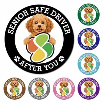 カーサイン 高齢者マーク SENIOR SAFE DRIVER キャバプー マグネット 強力 直径13cm 肉球 日本製 車 ステッカー