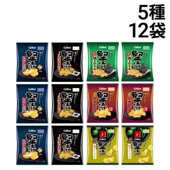 【 送料無料 】カルビー 堅あげポテト 5種 計12袋 食べ比べ 詰め合わせ アソート セット ( うすしお ブラックペッパー 焼きのり 九州しょうゆ 柚子こしょう ）まとめ買い