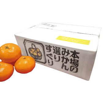 送料無料 お歳暮 愛媛産真穴みかん  ※12月1日?12月9日迄に出荷 北海道・沖縄・離島は配達不可 全国送料無料御中元ギフト早割お中元2026御中元御見舞お見舞いお取り寄せグルメスイーツ