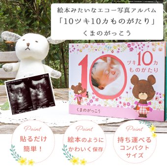 くまのがっこう エコー写真が収納できるアルバム 「10ツキ10カものがたり」 | エコー写真 保存 エコーアルバム フォトアルバム マタニティアルバム フォト アルバム 写真