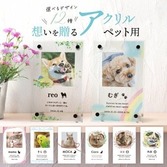 アクリル フォトスタンド ペット オーダー 名入れ 犬 猫 アクリルフォトフレーム アクリルフォトスタンド おしゃれ スタンド 写真立て メモリアル プレゼント ギフト ラッピング