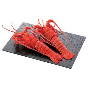 送料無料 お歳暮 吟月 伊勢海老塩蒸し  ※11月9日から12月24日 北海道・沖縄・離島は配達不可 全国送料無料御中元ギフト早割お中元2026御中元御見舞お見舞いお取り寄せグルメスイーツ