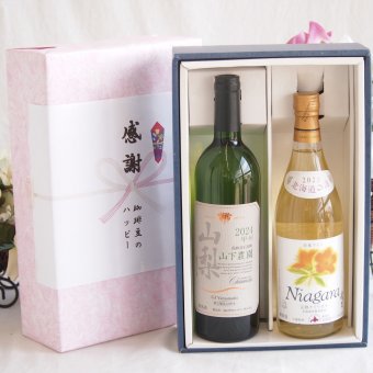 感謝の贈り物ボックス 国産甲州種辛口白ワインと国産ワインセット(北海道の詩 完熟ナイヤガラ白ワイン 甘口(北海道)720mlシャンモリ 山梨限定醸造白750ml(笛吹市石和町山下農園産甲州)