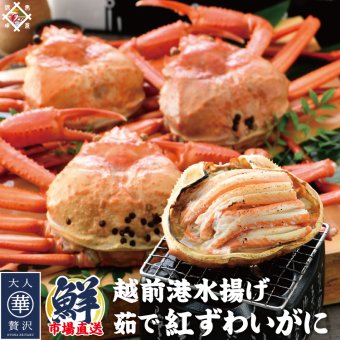 【訳あり】越前港水揚げ 茹で紅ズワイガニ姿 3杯～7杯（1杯あたり200～300g）美味しい贈物 敬老の日 お歳暮 ギフト