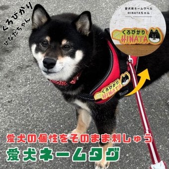 nametag-face ネームタグフェイス ペットうちの子グッズ 犬種 イラスト うちの子 ネームワッペン M Lサイズ 大きめサイズ ネーム ワッペン 刺繍 文字 犬 ハーネス Julius-K9 ユリウス お名前 ペット お名前ワッペン 刺繍ワッペン アイロン接着 マジックテープ 迷子札 愛犬グッズ
