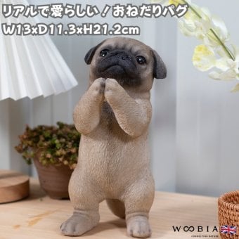 置物 woobia ウービア 犬 鼻ぺちゃ おねだりパグ フォーン 高さ21.2cm ぶさかわ リアル 本物そっくり イギリス生まれ 職人手彩色 縁起物 戌年 玄関 インテリア 新築祝い 引っ越し祝い 開店祝い 出産祝い 誕生日 お祝い ギフト プレゼント 犬好き パグ好き