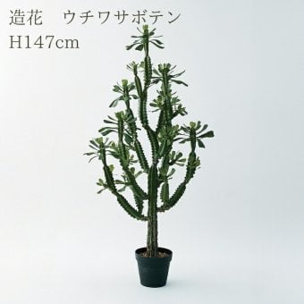 観葉植物 造花 ユーフォルビア BROWN 全高約147cm 大型 フェイクグリーン 本物そっくり おしゃれ インテリア 人工観葉植物 アーティフィシャルグリーン オフィス 店舗 ホテル 開店祝い 室内 多肉植物 フェイク