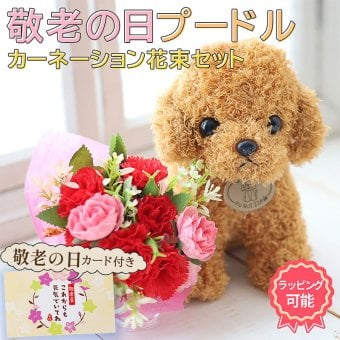 敬老の日 孫から おばあちゃん 祖母 80代 70代 わんちゃんと花束セット ぬいぐるみ トイプードル そのまま飾れる ブーケ 翌日配送 花束 ギフト 誕生日 プレゼント バラ 花瓶いらず スタンドブーケ 花 ギフト 50代 60代 70代 80代 送料無料 送料無料 フラワー アレンジメント