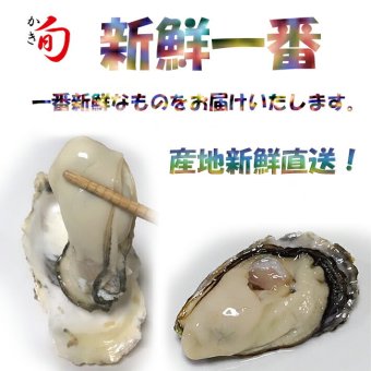 殻付4kg+むき身500ｇ　産地新鮮直送　当日注文で翌日発送　大粒　生食OK！　代引不可
