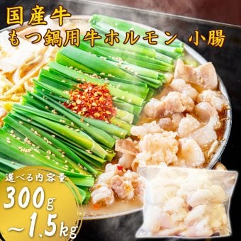 土佐あかうし・ゆすはら牛入り 国産牛 牛もつ 牛小腸 開き丸腸 300g～1.5kg もつ鍋用 ホルモン 味付けなし 高知県加工 高知産 急速冷凍 小分け お取り寄せ グルメ もつ鍋 鍋 お歳暮 年末年始 必要な量だけ使える小分け袋入り 【ヤマトクール便・送料無料】