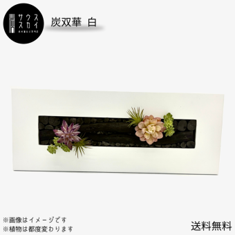 【送料無料】サウススカイ 紀州備長炭 炭双華 白 多肉植物 インテリア フレーム おしゃれ 和風 和室 和モダン 玄関 置物 飾り オブジェ 消臭 脱臭 除湿 風水 上品 センスいい かっこいい 可愛い 華やか 飲食店 旅館 オフィス 応接室 新築祝 開店祝 誕生日 プレゼント ギフト