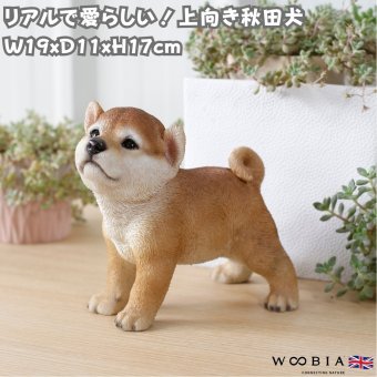 置物 woobia ウービア 日本犬 上向き秋田犬 子犬 幅19cm 立ち姿 和風 リアル 本物そっくり イギリス生まれ 職人手彩色 縁起物 戌年 玄関 インテリア 新築祝い 引っ越し祝い 開店祝い 出産祝い 誕生日 お祝い ギフト プレゼント 犬好き 秋田犬好き