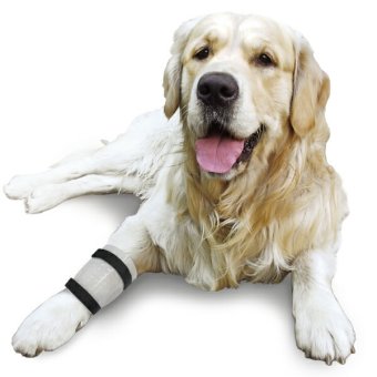 ペットの傷口に触れないようにやさしくガード IV カテーテルガード L 中型犬 大型犬 介護 手術 ケガ