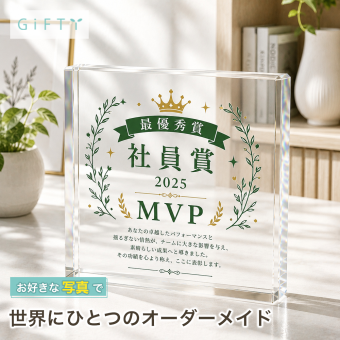 表彰盾 ガラスブロック 社員賞 MVP 誕生日 開業祝い プレゼント 受付 記念盾 贈り物 オリジナル 表彰式 サプライズ 周年記念 優勝記念 法人 功労賞 退職記念 オーダーメイド 名入れギフト 法人ギフト 感謝 記念日 表彰 記念品 オフィス 受賞記念 功労者表彰 表彰状 記念品贈呈 取引先 会社 退職祝い おしゃれ ギフト クリスタル盾 ビジネス 永年勤続表彰 ロゴ入り 永年勤続【c11】