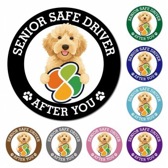 カーサイン 高齢者マーク SENIOR SAFE DRIVER オーストラリアンラブラドゥードル マグネット 強力 直径13cm 肉球 日本製 車 ステッカー