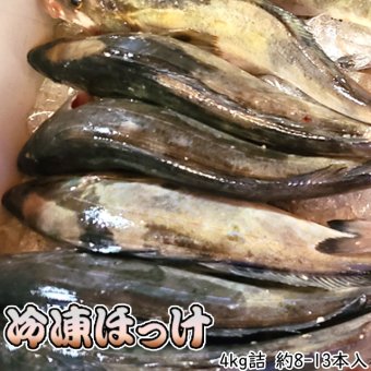 北海道噴火湾産　冷凍ホッケ4kg詰（約8-13本入）送料無料 ※沖縄別途送料加算