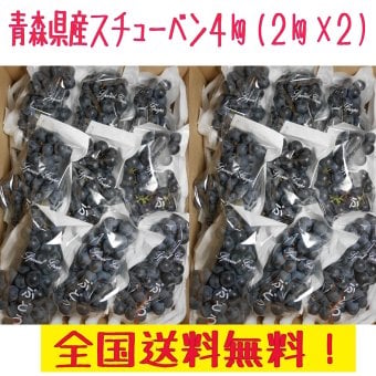 青森県産スチューベンぶどう 優品　4ｋｇ　全国送料無料