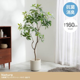 【高さ160cm】光触媒人工観葉植物 パキラ 曲がり 幅72cm×奥行50cm×高さ160cm オフィス 天然木 組立品 お部屋に気軽に飾れて空間を美しく彩るフェイクグリーン 本物の植物のようなリアルな質感とインテリアに馴染む風合いが魅力です