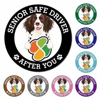 カーサイン 高齢者マーク SENIOR SAFE DRIVER スモールミュンスターレンダー マグネット 強力 直径13cm 肉球 日本製 車 ステッカー