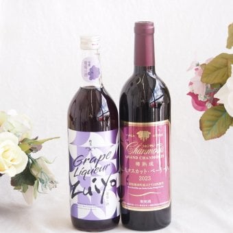 みずみずしくジューシーな風味の葡萄酒と国産ワインセット(樽熟成穂坂マスカットベーリーA赤ワイン ミディアム(山梨県)750ml瑞鷹葡萄の酒10度(熊本県)720ml