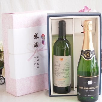 感謝の贈り物ボックス 国産甲州種辛口白ワインと国産ワインセット(塩尻ナイアガラスパークリング白ワインやや甘口(長野県)720mlシャンモリ 山梨限定醸造白750ml(笛吹市石和町山下農園産甲州)