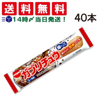 【 送料無料 】 明治 ガブリチュウ コーラ 40本