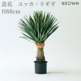 観葉植物 造花 ユッカ・リギダ BROWN 全高約88cm フェイクグリーン 高級 本物そっくり リアル おしゃれ 多肉植物 インテリア 人工観葉植物 アーティフィシャルグリーン ドライガーデン モダン オフィス 店舗 開店祝い 室内 リビング 玄関 風水 青年の木