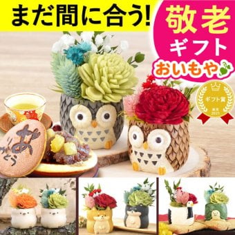 【早割 9/14 16時まで】 敬老の日 即日発送 誕生日 プレゼント 花 ギフト プリザーブドフラワー アニマル 動物 ペア ミニ 小さい かわいい おしゃれ ふくろう 犬 猫 バラ 薔薇 一輪 セット どら焼き どらやき 送料無料 スイーツ お菓子 和菓子 ギフトセット 母 実母 自分の母 義母 妻 40代 50代 60代 70代 花セット 花とお菓子 おいもや 誕生日期間 翌日配送 不可