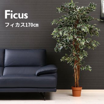 ガーデン エクステリア 観葉植物 フィカス １１２４ Ｂ フェイクグリーン 植物 緑 グリーン 癒し 植木 インテリア ガーデニング おしゃれ カフェ リビング プランター ギフト プレゼント 贈り物 オフィス 会社 枯れない 簡単 手入れ 人気 樹木