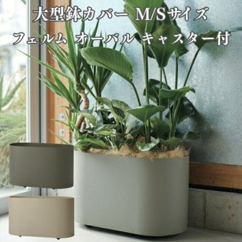 鉢カバー おしゃれ 高級 大型 オーバル 楕円 KONTON コントン フェルム オーバル キャスター付 スチール アイアン 金属 キャスター付 北欧 モダン 観葉植物 多肉植物 シンボルツリー 寄せ植え 横長 丸 和モダン ナチュラル 室内 屋内 リビング 玄関