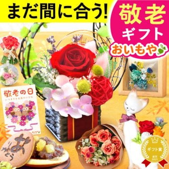 【早割 9/14 16時まで】 敬老の日 すぐ贈れるギフト 即日発送 誕生日 プレゼント ギフト 花 プリザーブドフラワー ガラスドーム ミニ インテリア リース 猫 バラ 花束 シャボン ソープフラワー 枯れない かわいい スイーツ お菓子 和菓子 洋菓子 メッセージ入り 2000円 3000円 もらって嬉しい センスがいい おしゃれ 40代 50代 60代 70代 80代 女性 フラワーギフト