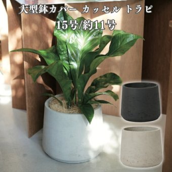 鉢カバー おしゃれ 大型 15号 11号 円柱 台形 テーパー セメント コンクリート調 KONTON カッセル トラピ ファイバーセメント 軽量 底穴なし 屋外 L XL ウォッシュグレー ダークグレー 観葉植物 シンボルツリー 北欧 モダン ナチュラル インテリア