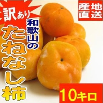 【予約販売】【送料無料】和歌山県産 訳あり たねなし柿 10kg 【まとめ買い】ご自宅用の平核無柿 平種柿 ひらたねかき サイズ不揃い 傷あり 脱渋処理済み ※9月下旬頃より順次発送
