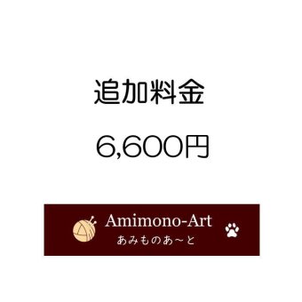 追加料金