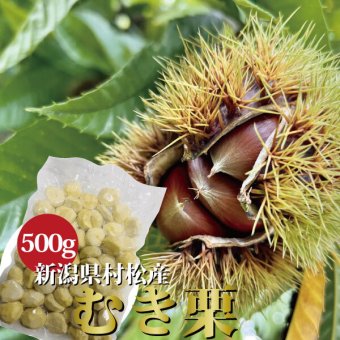 国産むき栗 新潟 村松産 500g