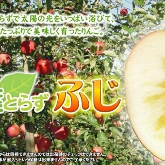 【11月中旬頃発送】蜜入りは１２月末まで 甘くておいしい！ フォーシーズン 青森りんご 葉とらずサンふじ　家庭用　5C箱(5kg箱)