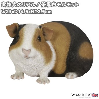 置物 モルモット 茶黒白モルモット 幅23cm woobia ウービア リアル かわいい おしゃれ 玄関 インテリア オブジェ ガーデン テンジクネズミ 動物 アニマル 癒し 棚 北欧 プレゼント ギフト 新築祝い 個性的