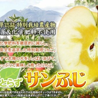 【11月中旬頃発送】蜜入りは１２月末まで　青森県認証 特別栽培農産物 ◆ 甘くておいしい！フォーシーズン 青森りんご 葉とらずサンふじ 家庭用 約３kg箱