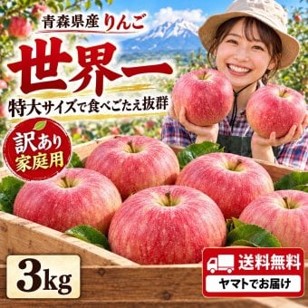 青森県産　りんご　世界一　特大　訳あり　家庭用　3kg　6～10玉　送料無料！