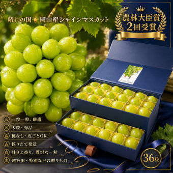 【予約】贈答用化粧箱 岡山県産 シャインマスカット 宝石箱 厳選秀品大粒36粒 国産 プレゼント フルーツ