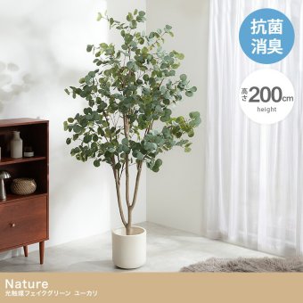 【高さ200cm】光触媒人工観葉植物 ユーカリ 幅70cm×奥行60cm×高さ200cm オフィス 天然木 ポリエステル 組立品 お部屋に気軽に飾れて空間を美しく彩るフェイクグリーン 本物の植物のようなリアルな質感とインテリアに馴染む風合いが魅力です